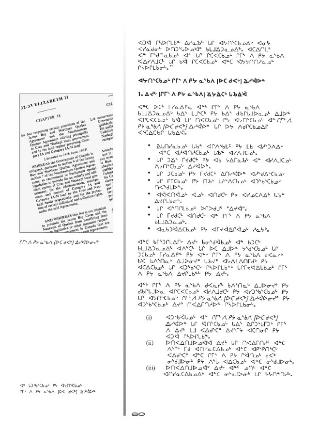 10675 CNC Annual Report 2000 NASKAPI - page 80